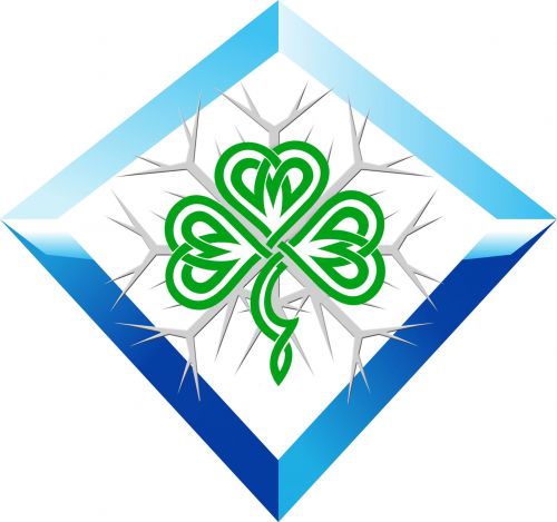 World Cup, Ireland Ice Swimming 1Km Championships logo