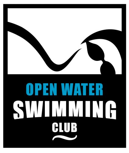 Dutch open ice swimming Volendam logo