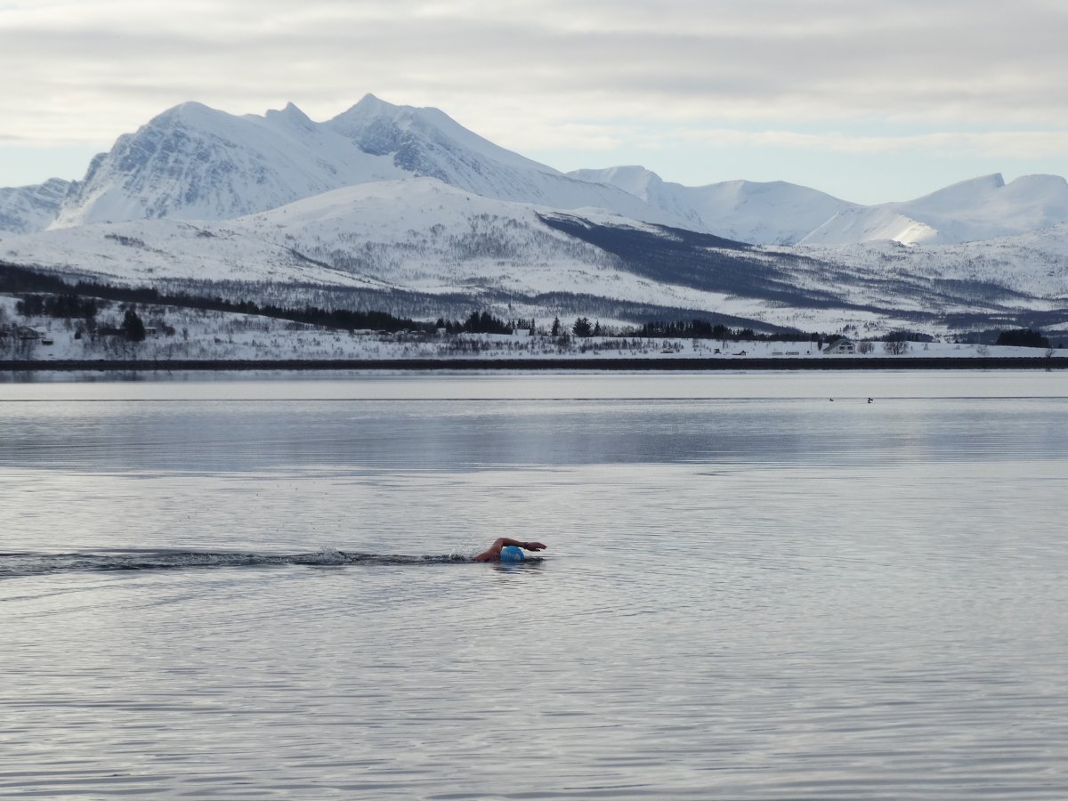 Swimming in Arctic Norway