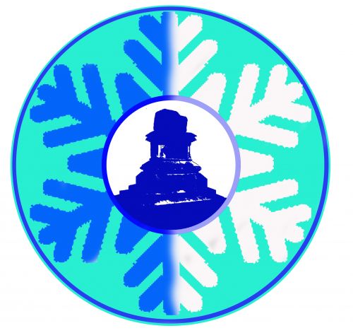Limerick Narwhals logo