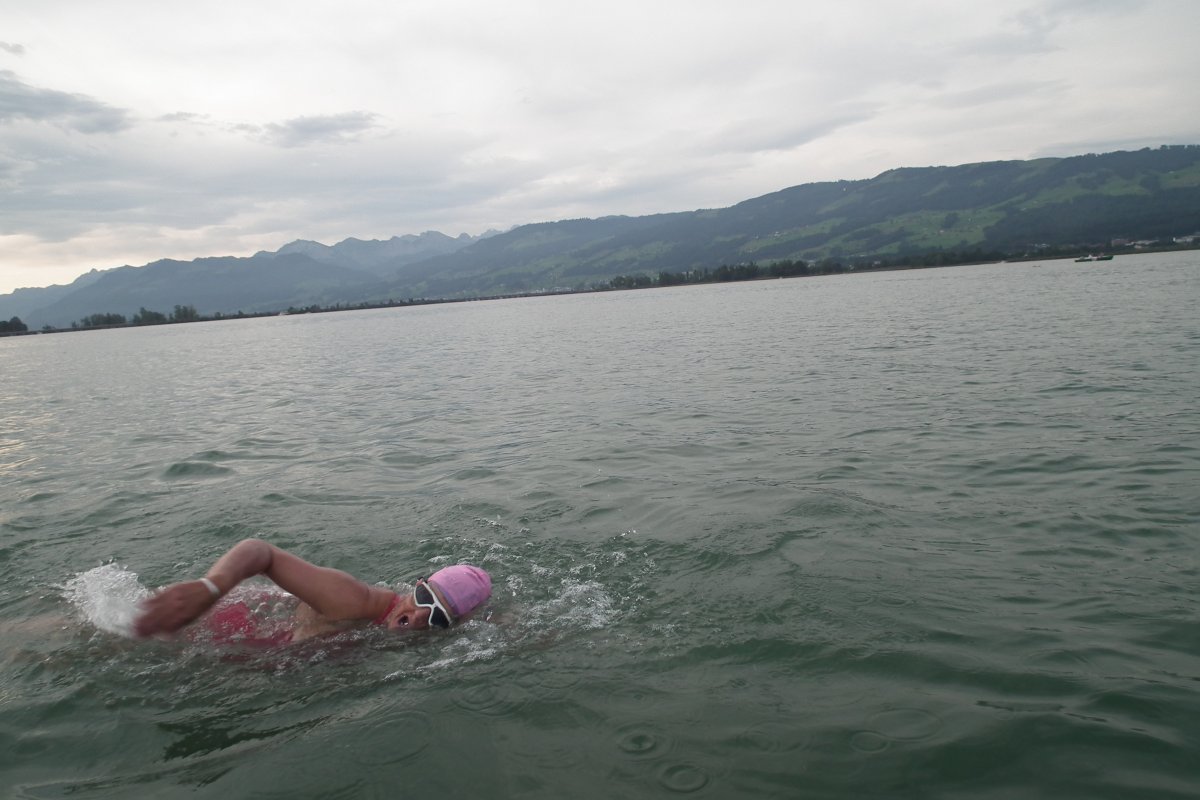 Lake Zurich 2015